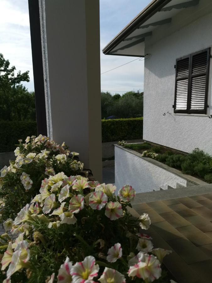 Villa Flora Affittacamere Luni Экстерьер фото